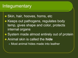 Integumentary

 Skin, hair, hooves, horns, etc
 Keeps out pathogens, regulates body
  temp, gives shape and color, protects
  internal organs
 System made almost entirely out of protein
 Animal skin is called the hide
       Most animal hides made into leather
 