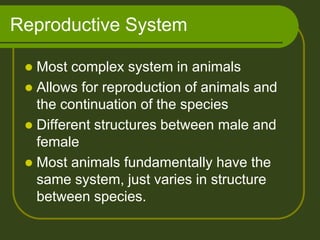 Reproductive System

  Most complex system in animals
  Allows for reproduction of animals and
   the continuation of the species
  Different structures between male and
   female
  Most animals fundamentally have the
   same system, just varies in structure
   between species.
 
