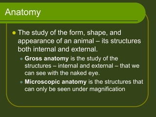 Anatomy

    The study of the form, shape, and
     appearance of an animal – its structures
     both internal and external.
      Gross anatomy is the study of the
       structures – internal and external – that we
       can see with the naked eye.
      Microscopic anatomy is the structures that
       can only be seen under magnification
 
