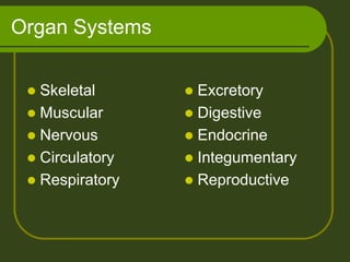 Organ Systems


  Skeletal       Excretory
  Muscular       Digestive
  Nervous        Endocrine
  Circulatory    Integumentary
  Respiratory    Reproductive
 