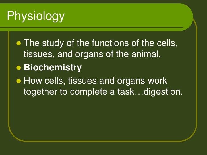 Animal organ systems