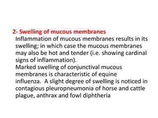 2- Swelling of mucous membranes
Inflammation of mucous membranes results in its
swelling; in which case the mucous membranes
may also be hot and tender (i.e. showing cardinal
signs of inflammation).
Marked swelling of conjunctival mucous
membranes is characteristic of equine
influenza. A slight degree of swelling is noticed in
contagious pleuropneumonia of horse and cattle
plague, anthrax and fowl diphtheria
 