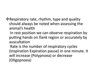 Respiratory rate, rhythm, type and quality
should always be noted when assessing the
animal’s health
In rest position we can observe respiration by
putting hands on flank region or accurately by
auscultation
Rate is the number of respiratory cycles
(Inspiration Expiration pause) in one minute. It
will increase (Polypnoea) or decrease
(Oligopnoea)
 