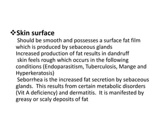 Skin surface
Should be smooth and possesses a surface fat film
which is produced by sebaceous glands
Increased production of fat results in dandruff
skin feels rough which occurs in the following
conditions (Endoparasitism, Tuberculosis, Mange and
Hyperkeratosis)
Seborrhea is the increased fat secretion by sebaceous
glands. This results from certain metabolic disorders
(Vit A deficiency) and dermatitis. It is manifested by
greasy or scaly deposits of fat
 