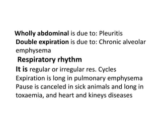 Wholly abdominal is due to: Pleuritis
Double expiration is due to: Chronic alveolar
emphysema
Respiratory rhythm
It is regular or irregular res. Cycles
Expiration is long in pulmonary emphysema
Pause is canceled in sick animals and long in
toxaemia, and heart and kineys diseases
 