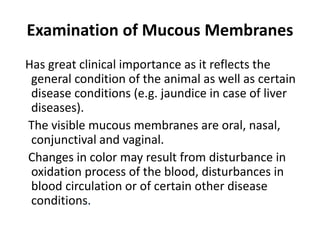 Examination of Mucous Membranes
Has great clinical importance as it reflects the
general condition of the animal as well as certain
disease conditions (e.g. jaundice in case of liver
diseases).
The visible mucous membranes are oral, nasal,
conjunctival and vaginal.
Changes in color may result from disturbance in
oxidation process of the blood, disturbances in
blood circulation or of certain other disease
conditions.
 