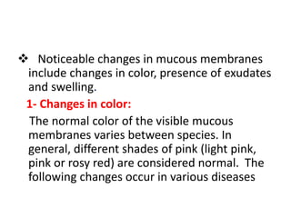  Noticeable changes in mucous membranes
include changes in color, presence of exudates
and swelling.
1- Changes in color:
The normal color of the visible mucous
membranes varies between species. In
general, different shades of pink (light pink,
pink or rosy red) are considered normal. The
following changes occur in various diseases
 