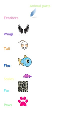 Animal parts
Feathers
Wings
Tail
Fins
Scales
Fur
Paws
 