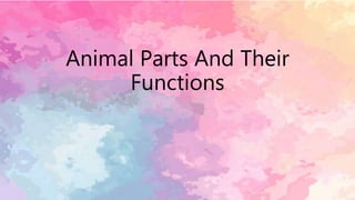Animal Parts And Their
Functions
 