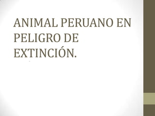 ANIMAL PERUANO EN
PELIGRO DE
EXTINCIÓN.
  .
 