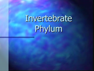 Invertebrate Phylum   