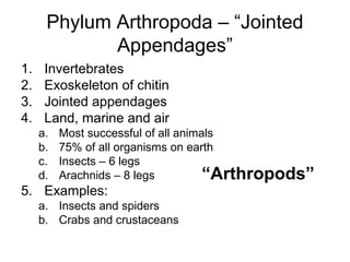 Phylum Arthropoda – “Jointed
Appendages”
1.
2.
3.
4.

Invertebrates
Exoskeleton of chitin
Jointed appendages
Land, marine and air
a.
b.
c.
d.

Most successful of all animals
75% of all organisms on earth
Insects – 6 legs
Arachnids – 8 legs
“Arthropods”

5. Examples:

a. Insects and spiders
b. Crabs and crustaceans

 