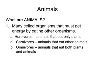 Animals
What are ANIMALS?
1. Many celled organisms that must get
energy by eating other organisms.
a. Herbivores – animals that eat only plants
a. Carnivores – animals that eat other animals
b. Omnivores – animals that eat both plants
and animals

 