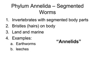 Phylum Annelida – Segmented
Worms
1.
2.
3.
4.

Invertebrates with segmented body parts
Bristles (hairs) on body
Land and marine
Examples:
a. Earthworms
b. leeches

“Annelids”

 