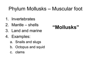 Phylum Mollusks – Muscular foot
1.
2.
3.
4.

Invertebrates
Mantle – shells
Land and marine
Examples:
a. Snails and slugs
b. Octopus and squid
c. clams

“Mollusks”

 
