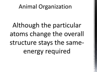 Animal Physiology chapter 1
