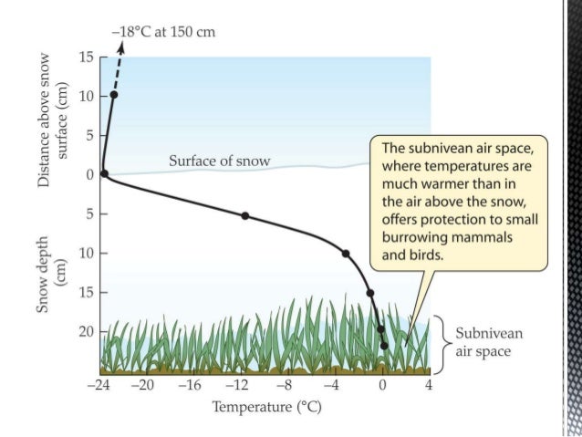 Animal Physiology chapter 1
