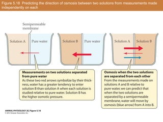 Figure 5.18 Predicting the direction of osmosis between two solutions from measurements made
independently on each
 