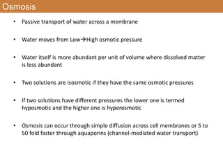 Osmosis
• Passive transport of water across a membrane
• Water moves from LowHigh osmotic pressure
• Water itself is more abundant per unit of volume where dissolved matter
is less abundant
• Two solutions are isosmotic if they have the same osmotic pressures
• If two solutions have different pressures the lower one is termed
hyposmotic and the higher one is hyperosmotic
• Osmosis can occur through simple diffusion across cell membranes or 5 to
50 fold faster through aquaporins (channel-mediated water transport)
 