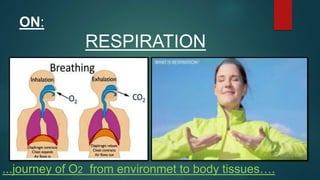 ON:
RESPIRATION
...journey of O2 from environmet to body tissues….
 