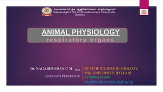 ANIMAL PHYSIOLOGY
r e s p i r a t o r y o r g a n s
Dr. NAGABHUSHAN C M Ph.D
ASSISTANT PROFESSOR
DEPT OF STUDIES IN ZOOLOGY,
VSK UNIVERSITY, BALLARI
91-9880-121-090
nagabhushancm@vskub.ac.in
 