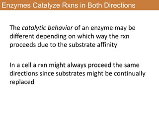 Different Rxn Animal physiology chapter 2 2nd half | PPTX