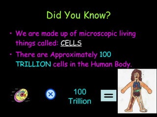 Did You Know? We are made up of microscopic living things called:  CELLS There are Approximately  100 TRILLION  cells in the Human Body.  100 Trillion 