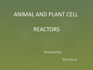 ANIMAL AND PLANT CELL
REACTORS
Presented by,
Erin Davis
 