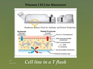 Cell line in a T flask
Wheaton CELLine Bioreactors
 