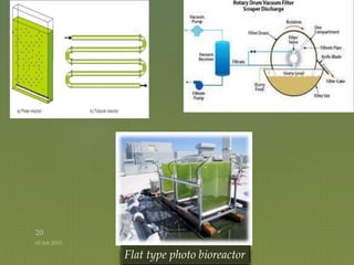 Flat type photo bioreactor
 