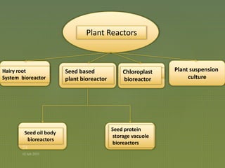 Plant suspension
culture
Plant Reactors
Hairy root
System bioreactor
Seed based
plant bioreactor
Seed oil body
bioreactors
Seed protein
storage vacuole
bioreactors
Chloroplast
bioreactor
 