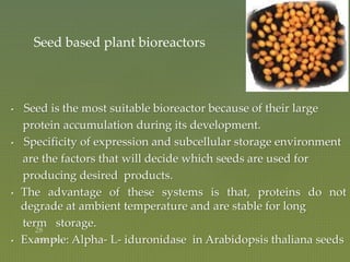 • Seed is the most suitable bioreactor because of their large
protein accumulation during its development.
• Specificity of expression and subcellular storage environment
are the factors that will decide which seeds are used for
producing desired products.
• The advantage of these systems is that, proteins do not
degrade at ambient temperature and are stable for long
term storage.
• Example: Alpha- L- iduronidase in Arabidopsis thaliana seeds
Seed based plant bioreactors
 