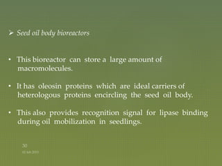  Seed oil body bioreactors
• This bioreactor can store a large amount of
macromolecules.
• It has oleosin proteins which are ideal carriers of
heterologous proteins encircling the seed oil body.
• This also provides recognition signal for lipase binding
during oil mobilization in seedlings.
 