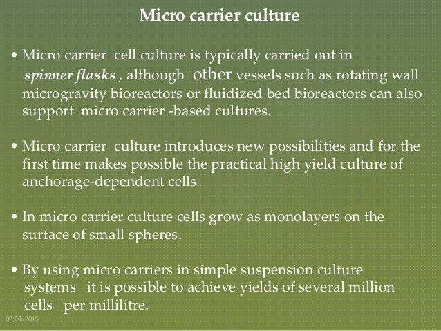 An overview of the animal & plant cell reactors used in ...