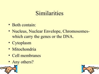 Similarities
• Both contain:
• Nucleus, Nuclear Envelope, Chromosomes-
  which carry the genes or the DNA.
• Cytoplasm
• Mitochondria
• Cell membranes
• Any others?
 