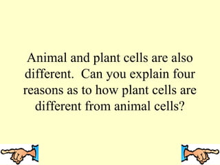 Animal and plant cells are also
different. Can you explain four
reasons as to how plant cells are
different from animal cells?

 