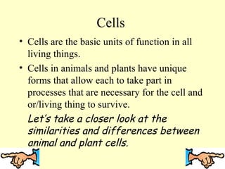 Cells
• Cells are the basic units of function in all
living things.
• Cells in animals and plants have unique
forms that allow each to take part in
processes that are necessary for the cell and
or/living thing to survive.
Let’s take a closer look at the
similarities and differences between
animal and plant cells.

 