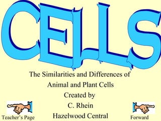 The Similarities and Differences of
Animal and Plant Cells
Created by
C. Rhein
Hazelwood Central
Teacher’s Page
Forward

 