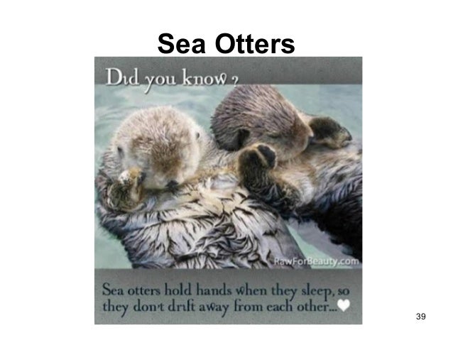 otter speech recognition otter speech recognition