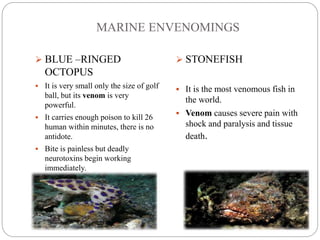 MARINE ENVENOMINGS
 BLUE –RINGED
OCTOPUS
 It is very small only the size of golf
ball, but its venom is very
powerful.
 It carries enough poison to kill 26
human within minutes, there is no
antidote.
 Bite is painless but deadly
neurotoxins begin working
immediately.
 STONEFISH
 It is the most venomous fish in
the world.
 Venom causes severe pain with
shock and paralysis and tissue
death.
 