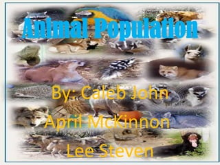 Animal Population  By: Caleb John  April McKinnon	 Lee Steven 