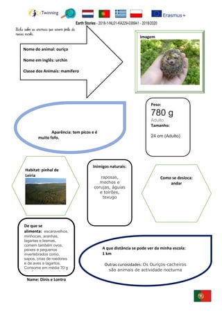 Name: Dinis e Lontro
Imagem
Peso:
780 g
Adulto
Tamanho:
24 cm (Adulto)
De que se
alimenta: escaravelhos,
minhocas, aranhas,
lagartas e lesmas,
comem também ovos,
peixes e pequenos
invertebrados como,
sapos, crias de roedores
e de aves e lagartos.
Consome em média 70 g
de alimentos por noite.
Outras observações:
Inimigos naturais:
raposas,
mochos e
corujas, águias
e toirões,
texugo
Nome do animal: ouriço
Nome em inglês: urchin
Classe dos Animais: mamífero
A que distância se pode ver da minha escola:
1 km
Outras curiosidades: Os Ouriços-cacheiros
são animais de actividade nocturna
Aparência: tem picos e é
muito fofo.
Como se desloca:
andar
Habitat: pinhal de
Leiria
Ficha sobre os animais que vivem perto da
nossa escola.
 