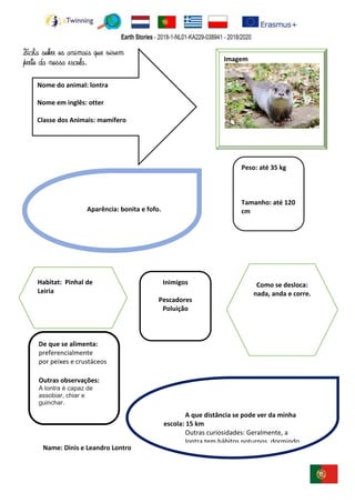 ggbbb
Name: Dinis e Leandro Lontro
Imagem
Peso: até 35 kg
Tamanho: até 120
cm
De que se alimenta:
preferencialmente
por peixes e crustáceos
Outras observações:
A lontra é capaz de
assobiar, chiar e
guinchar.
Inimigos
Pescadores
Poluição
Nome do animal: lontra
Nome em inglês: otter
Classe dos Animais: mamífero
A que distância se pode ver da minha
escola: 15 km
Outras curiosidades: Geralmente, a
lontra tem hábitos noturnos, dormindo
de dia na margem do rio e acordando
de noite para buscar alimento.
Aparência: bonita e fofo.
Como se desloca:
nada, anda e corre.
Habitat: Pinhal de
Leiria
Ficha sobre os animais que vivem
perto da nossa escola.
 