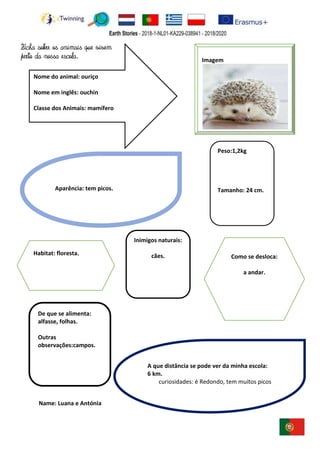 Name: Luana e Antónia
Imagem
Peso:1,2kg
Tamanho: 24 cm.
De que se alimenta:
alfasse, folhas.
Outras
observações:campos.
Inimigos naturais:
cães.
Nome do animal: ouriço
Nome em inglês: ouchin
Classe dos Animais: mamífero
A que distância se pode ver da minha escola:
6 km.
curiosidades: é Redondo, tem muitos picos
Aparência: tem picos.
Como se desloca:
a andar.
Habitat: floresta.
Ficha sobre os animais que vivem
perto da nossa escola.
 