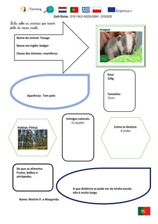 Name: Martim P. e Margarida
Imagem
Peso
12kg
Tamanho:
71cm
De que se alimenta:
Frutos, bolbos e
artrópodes.
Inimigos naturais:
O caçador
Nome do animal: Texugo
Nome em inglês: badger
Classe dos Animais: mamíferos
A que distância se pode ver da minha escola:
não é muito longe.
Aparência: Tem pelo
Como se desloca:
A andar
Habitat: Pinhal.
Ficha sobre os animais que vivem
perto da nossa escola.
 