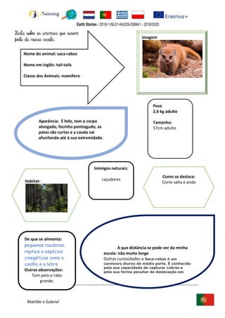 Matilde e Gabriel
•
Name:
Imagem
Peso
2,6 kg adulto
Tamanho:
57cm adulto
De que se alimenta:
pequenos roedores,
repteis e espécies
cinegéticas como o
coelho e a lebre
Outras observações:
Tem pelo e rabo
grande.
Inimigos naturais:
caçadores
Nome do animal: saca-rabos
Nome em inglês: tail-tails
Classe dos Animais: mamífero
A que distância se pode ver da minha
escola: não muito longe
Outras curiosidades o Saca-rabos é um
carnívoro diurno de médio porte. É conhecido
pela sua capacidade de capturar cobras e
pela sua forma peculiar de deslocação em
grupo
Aparência: É fofo, tem o corpo
alongado, focinho pontiagudo, as
patas são curtas e a cauda vai
afunilando até à sua extremidade.
Como se desloca:
Corre salta e andaHabitat:
Ficha sobre os animais que vivem
perto da nossa escola.
 