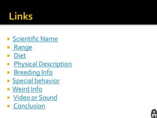    Scientific Name
   Range
   Diet
   Physical Description
   Breeding Info
   Special behavior
   Weird Info
   Video or Sound
   Conclusion
 