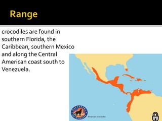 crocodiles are found in
southern Florida, the
Caribbean, southern Mexico
and along the Central
American coast south to
Venezuela.
 