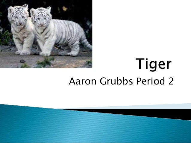Aaron Grubbs Period 2
 