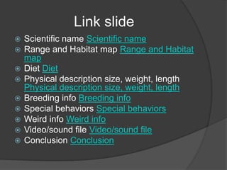 Link slide
   Scientific name Scientific name
   Range and Habitat map Range and Habitat
    map
   Diet Diet
   Physical description size, weight, length
    Physical description size, weight, length
   Breeding info Breeding info
   Special behaviors Special behaviors
   Weird info Weird info
   Video/sound file Video/sound file
   Conclusion Conclusion
 